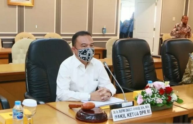 					Wakil Ketua DPR RI Sufmi Dasco Ahmad. (ANTARA/HO-DPR RI/am.)
