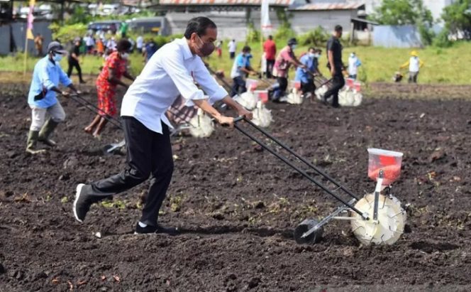 					Presiden Joko Widodo menanam jagung di Kelurahan Klamesen, Kabupaten Sorong, Papua Barat, Senin (4/10/2021). ANTARA/HO-Agus Suparto