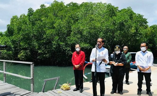 					Presiden Joko Widodo bersama rombongan meninjau hutan mangrove di Taman Hutan Raya Ngurah Rai, Kabupaten Badung, Bali pada Jumat (8/10/2021). ANTARA/HO-Biro Pers Setpres/Laily Rachev/am.