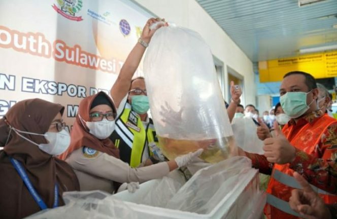 					Tantang Kabupaten dan Kota Tingkatkan Ekspor, Reward Bantuan Keuangan Rp 10 Miliar