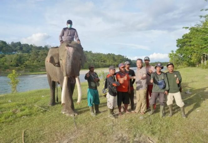 					Gubernur Rohidin Dukung Hapus Izin Tambang di TWA Seblat