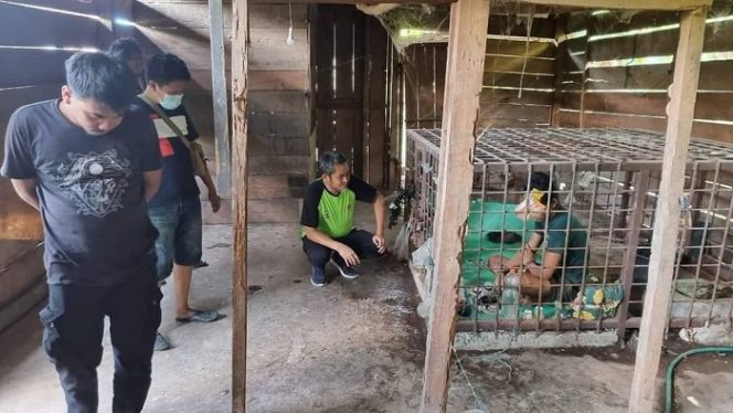 					Sempat Dipasung, Seorang Penderita Gangguan Jiwa Dibawa ke RSUD Batara Guru Gelopa