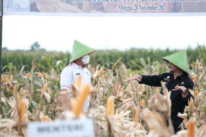 					Panen Raya Jagung Bersama Mentan RI, Adnan: Bentuk Kontribusi Gowa Terhadap Nasional