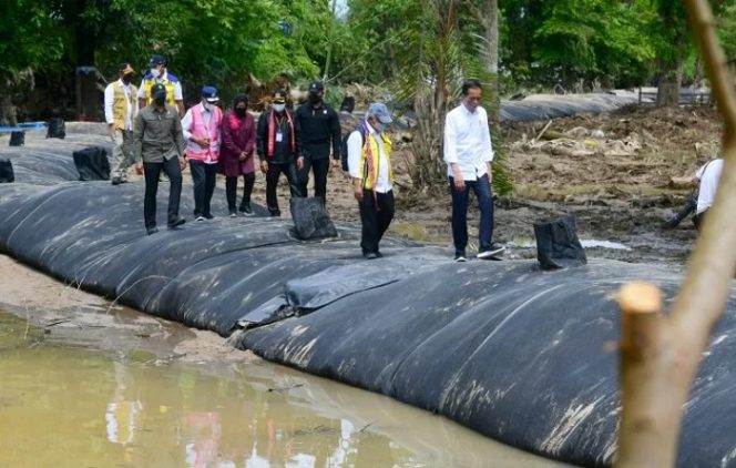 					Presiden Joko Widodo meninjau tabung geotekstil yang menjadi tanggul pengendali banjir di kelurahan Ladang, kabupaten Sintang, Kalimantan Barat pada Rabu (8/12/2021). ANTARA/HO-Biro Pers Sekretariat Presiden/Mukhlis Jr.