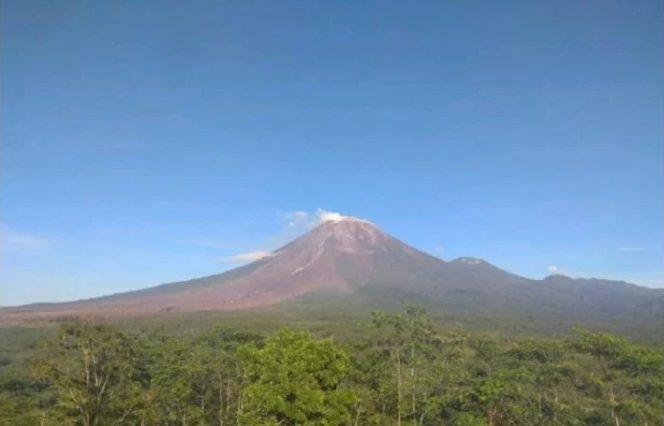 					Gunung Semeru yang terpantau dari Pos Pengamatan Gunung Semeru di Gunung Sawur, Kabupaten Lumajang, Kamis (16/12/2021) pagi. (ANTARA/HO-PVMBG)