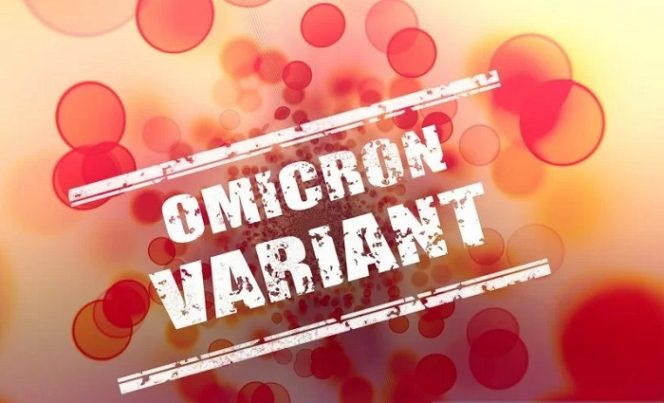 					Ilustrasi - Varian Covid Omicron. ANTARA/Pixabay/pri.