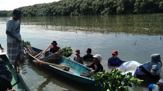 					Pemprov Sulsel Tanam 39 ribu Batang Mangrove di Desa Marannu Maros