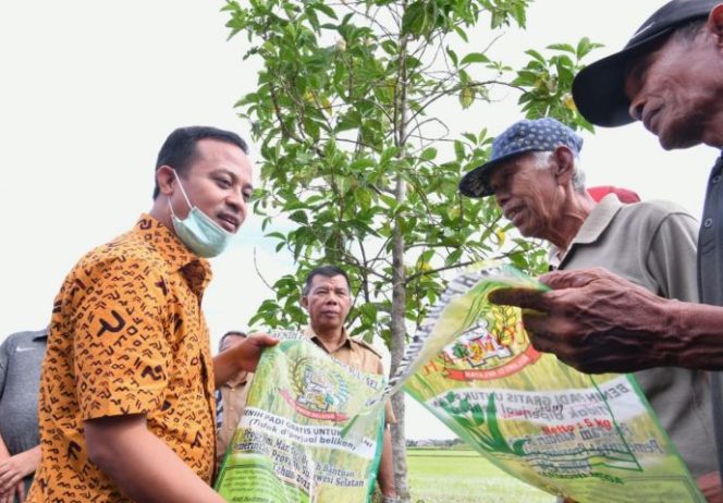 					Gubernur Andalan Tinjau Sawah Tanam ‘Mandiri Benih’ di Bulukumba 