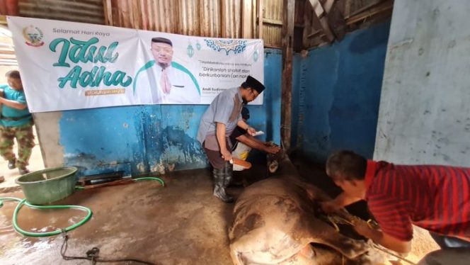 					Gubernur Sulsel Kurban 12 Ekor Sapi di Hari Raya Idul Adha 2022