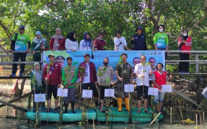 					Hari Mangrove Se-dunia, Pemprov Sulsel Tanam 38 Ribu Bibit di Pesisir Maros