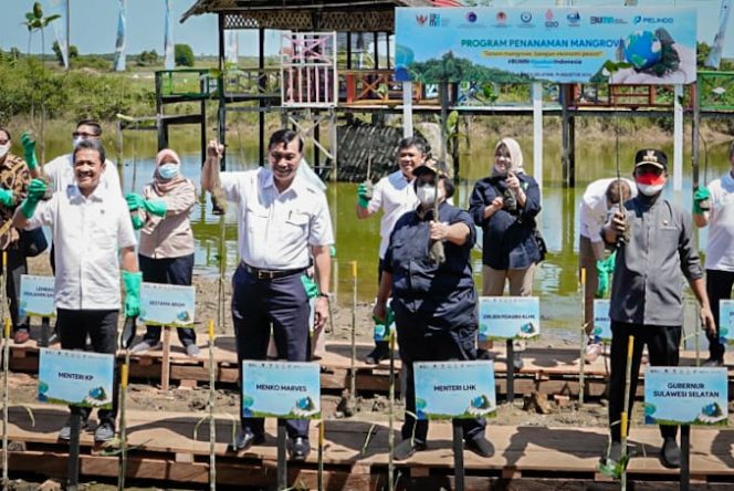 					Luhut dan 2 Menteri RI Kompak Tanam Mangrove di Sulsel