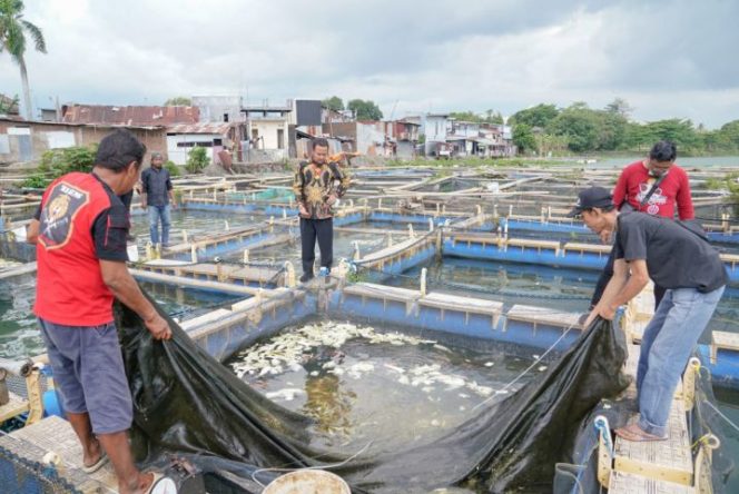 					Pembudidaya Ikan Balang Baru Minta Bantuan Bibit dan Mesin Pakan ke Gubernur Sulsel