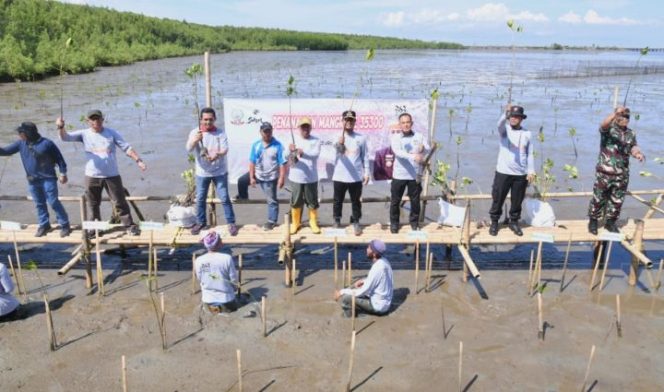 					Hari Jadi Sulsel 353, Andalan Tanam 35.300 Bibit Mangrove, 