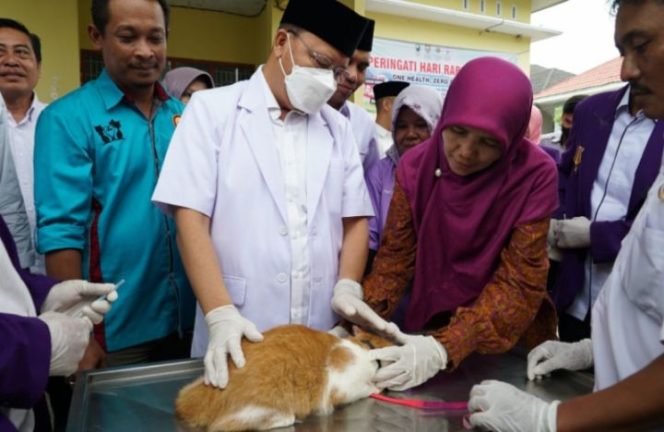 					Target 2030 Bebas Rabies, Ini Langkah Gubernur Rohidin
