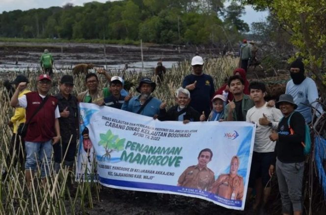 					DKP Sulsel Tanam 40 Ribu Mangrove di Pesisir Wajo