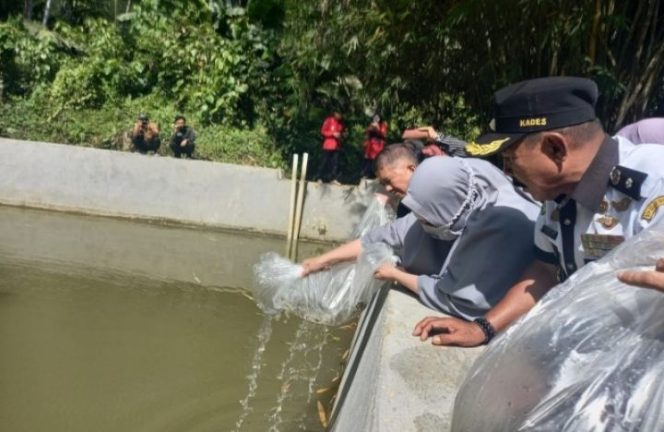 					Ketua TP PKK Luwu Tebarkan 10 ribu Benih Ikan Emas di Kecamatan Larompong