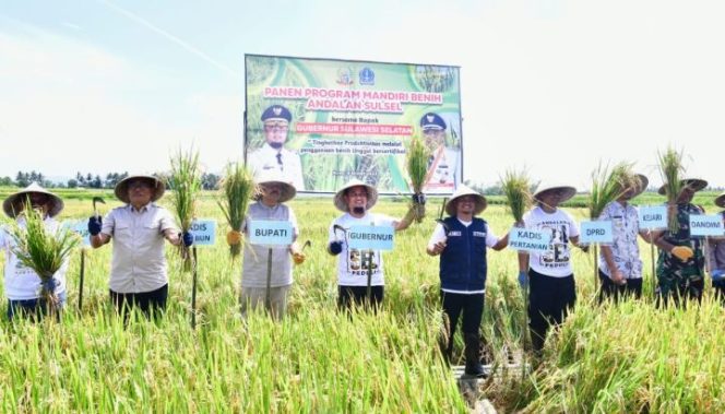 					Gubernur Andi Sudirman Panen Padi Hasil Mandiri Benih di Desa Palakka Kabupaten Bone (Ist)