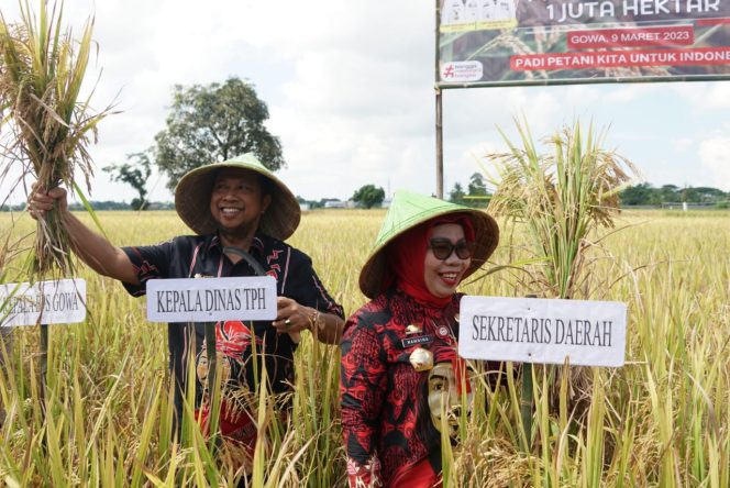					Gowa Siapkan 3.004 Ha Lahan untuk Program Panen Padi Nusantara