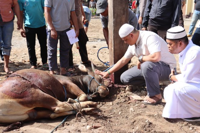 					Pelaksanaan Penyembelihan Hewan Qurban disaksikan Kapolres Gowa AKBP Reonald T.S Simanjuntak didampingi Wakapolres Gowa Kompol Soma Miharja. (ist). 
