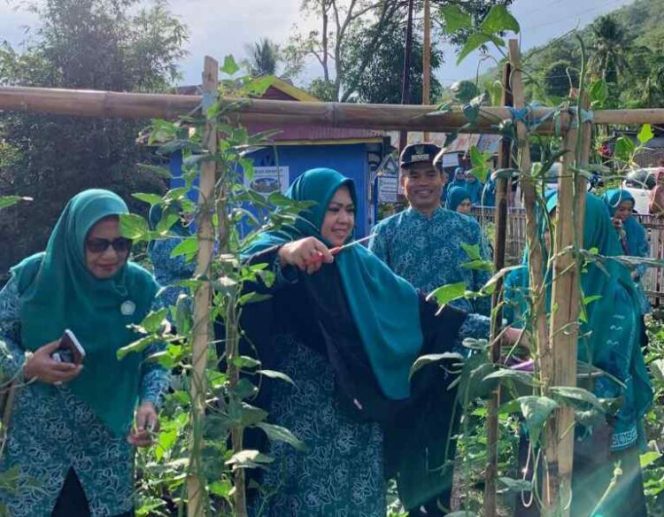 					Ketua PKK Erna Rasyid Taufan Panen Sayuran di Kebun  Dapur Sehat Atasi Stunting (Dashat) PKK Kelurahan Watang Bacukiki, Kampung KB Watang Bacukiki, Sumangkie, Kecamatan Bacukiki, Parepare (dok)