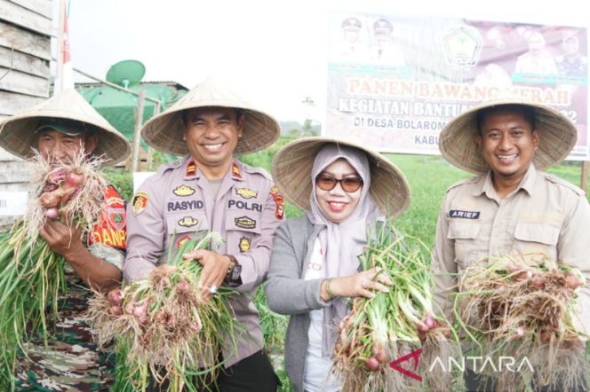 					Gowa Optimis Swasembada Bawang Merah