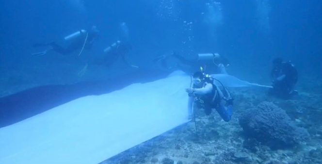 					Komumitas Divers Sukses Kibarkan Bendera Di Bawah Laut. (Foto: Humas Pemkab Bulukumba)
