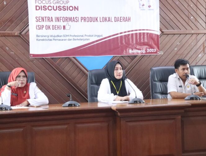 					Bantu Perajin, Andi Dwiyanti Musrifah Gagas Program SIP OK DEH
