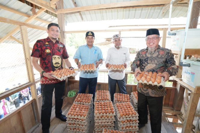 					Pj Gubernur Kunjungi Peternakan Ayam dan Kambing di Gowa