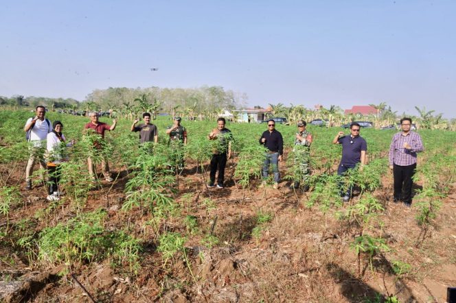 					Pj Gubernur Tinjau Lahan 23 Ha Untuk Budidaya Pisang dan Nanas di Gowa