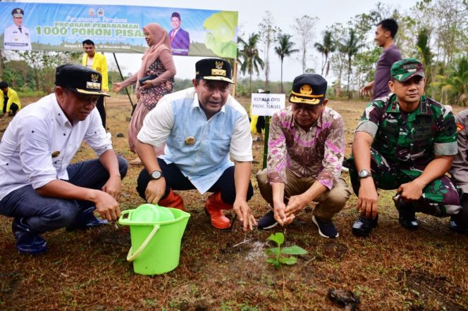 					Pj Gubernur Tanam 1.000 Pohon Pisang Cavendish di Kampus IAIN Bone