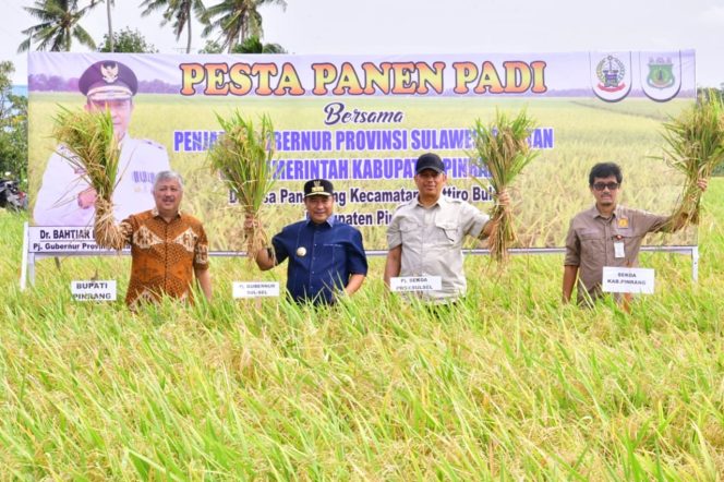 					Pesta Panen di Kabupaten Pinrang (dok)