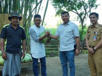 lelang-semangka