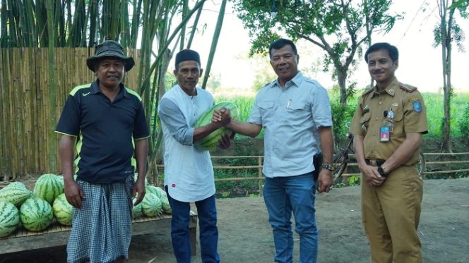 					Lelang Semangka untuk Palestina di Bulukumba, Andi Utta Kunci Harga Rp60 Juta. (Foto: Humas Pemkab)