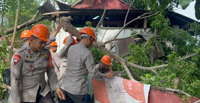 					Tim SAR Brimob Bone Gerak Cepat Evakuasi Pohon Tumbang. (Foto: Ist)
