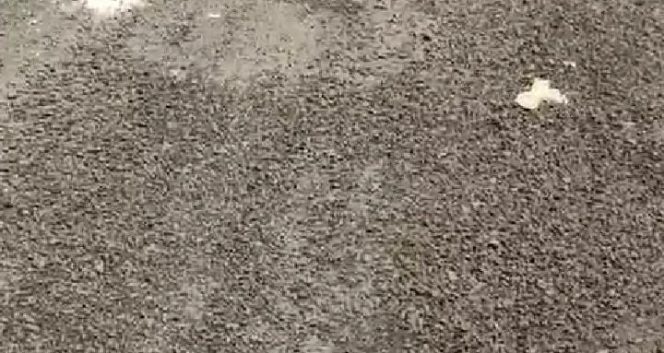 					Kualitas Pekerjaan PT Catur Jaya Prima Sejahtera Dinilai Bobrok di Ruas Serre Caboro, Desa Palae, Kecamatan Sinjai Selatan. (Foto: Ist)