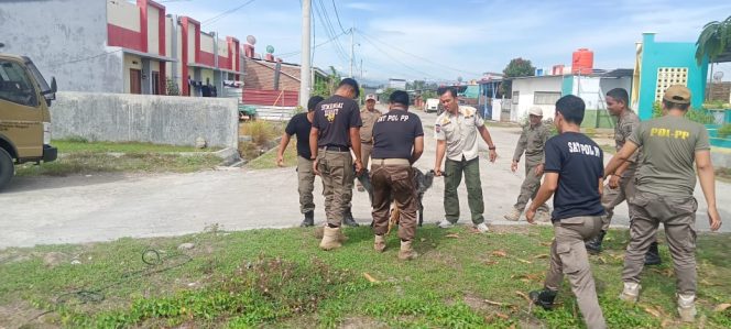 					Personel Satpol PP Sinjai Amankan Hewan Ternak. (Foto: Ist)