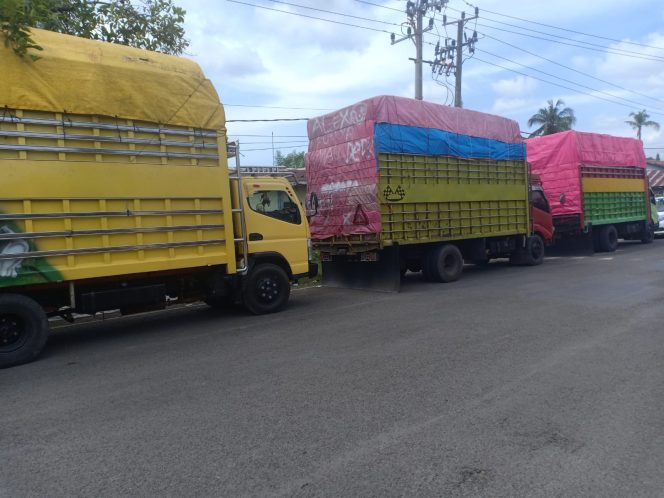 					Truk Pengangkut BBM Subsidi Jenis Solar yang Diamankan Polres Sinjai Beberapa Bulan Lalu. (Foto: Ist)