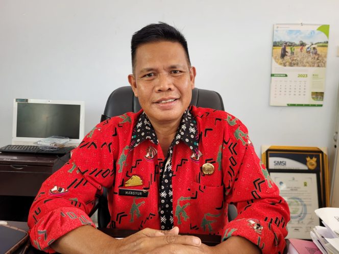 					Kepala Dinas Komunikasi, Informatika dan Persandian Kabupaten Sinjai Dr. Mansyur. (Foto: Ist/ Humas)