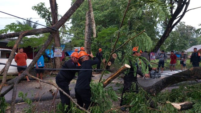 					Tim SAR Brimob Bone Evakuasi Pohon Tumbang yang Tutup Badan Jalan. (Foto: Ist)
