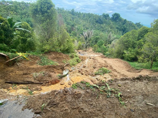 					Tanaman Cengkeh Warga Kindang, Kabupaten Bulukumba yang Tertimbun Tanah Longsor. (Foto: Ist/ BPBD Bulukumba)