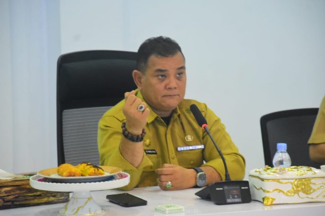 					Penjabat Bupati Sinjai, TR Fahsul Falah. (Foto: Ist/ Humas Kominfo)