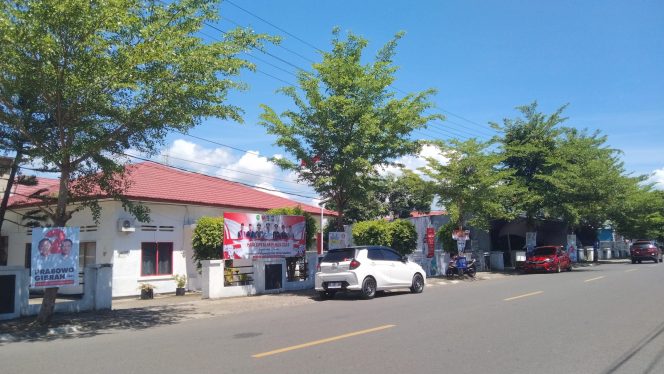 					Pohon Sepanjang Jalan Persatuan Raya di depan Kantor Kesbangpol Sinjai. (Foto: BERITA.NEWS/ Thatang)