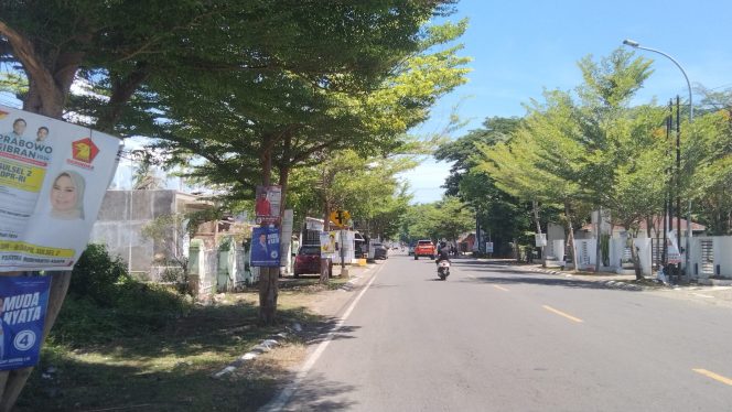 					APK Peserta Pemilu 2024 Terpasang di Pohon Jalan Persatuan Raya Sinjai. (Foto: BERITA.NEWS/ Thatang)