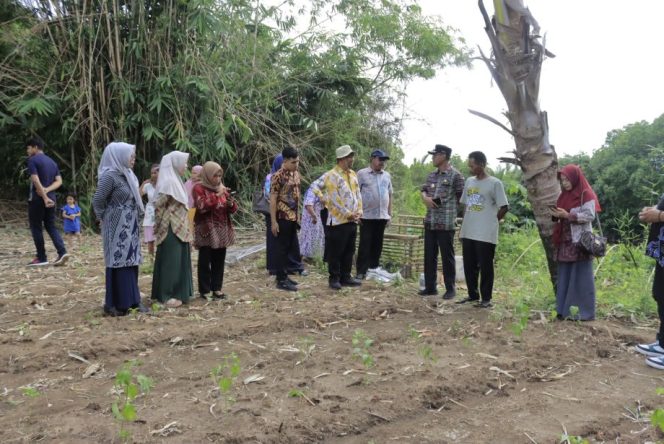 					Pj. Bupati Takalar Berdialog Langsung dengan Petani Cabe di Mangarabombang