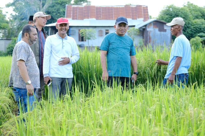 					Melihat Kondisi Petani, PJ Bupati Jeneponto Mengajak Para Petani Melakukan Terobosan Dan Berinovasi