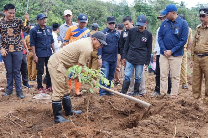 					Bupati Bulukumba, Andi Muchtar Ali Yusuf Tanam Pohon Produktif. (Foto: Ist/ Humas)