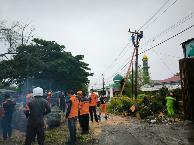 					Tim SAR Batalyon C Pelopor Evakuasi Pohon Tumbang di Poros Bone – Wajo