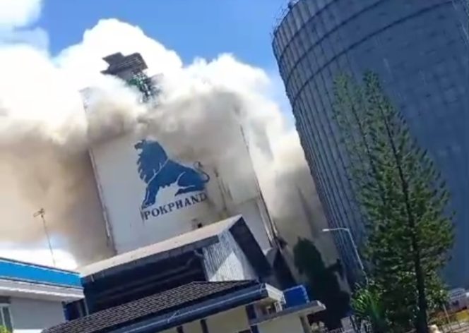 					Kebakaran Melanda Perusahaan Produksi Pakan di Makassar