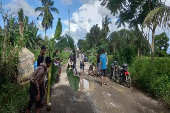 					Warga tanam pisang di Poros Parukku sebagai bentuk protes jalan tidak diperbaiki. (Foto: Ist)