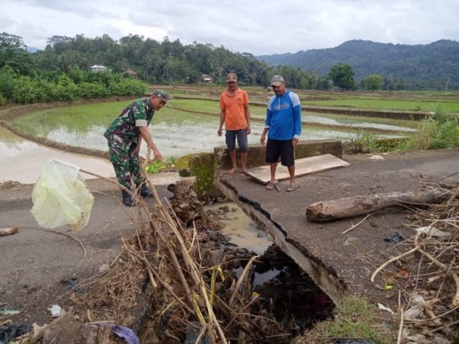 					Warga bersama Aparat Desa setempat Memperbaiki Seadanya Jembatan Roboh di Bikeru 1 - Desa Gareccing, Sinjai Selatan. (Foto: Ist)